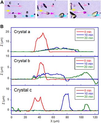 Effect of Surface Properties on the Photo-Induced Crawling Motion of Azobenzene Crystals on Glass Surfaces